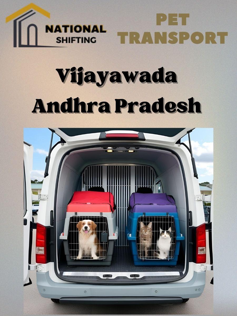 Pet transport services in Vijayawada