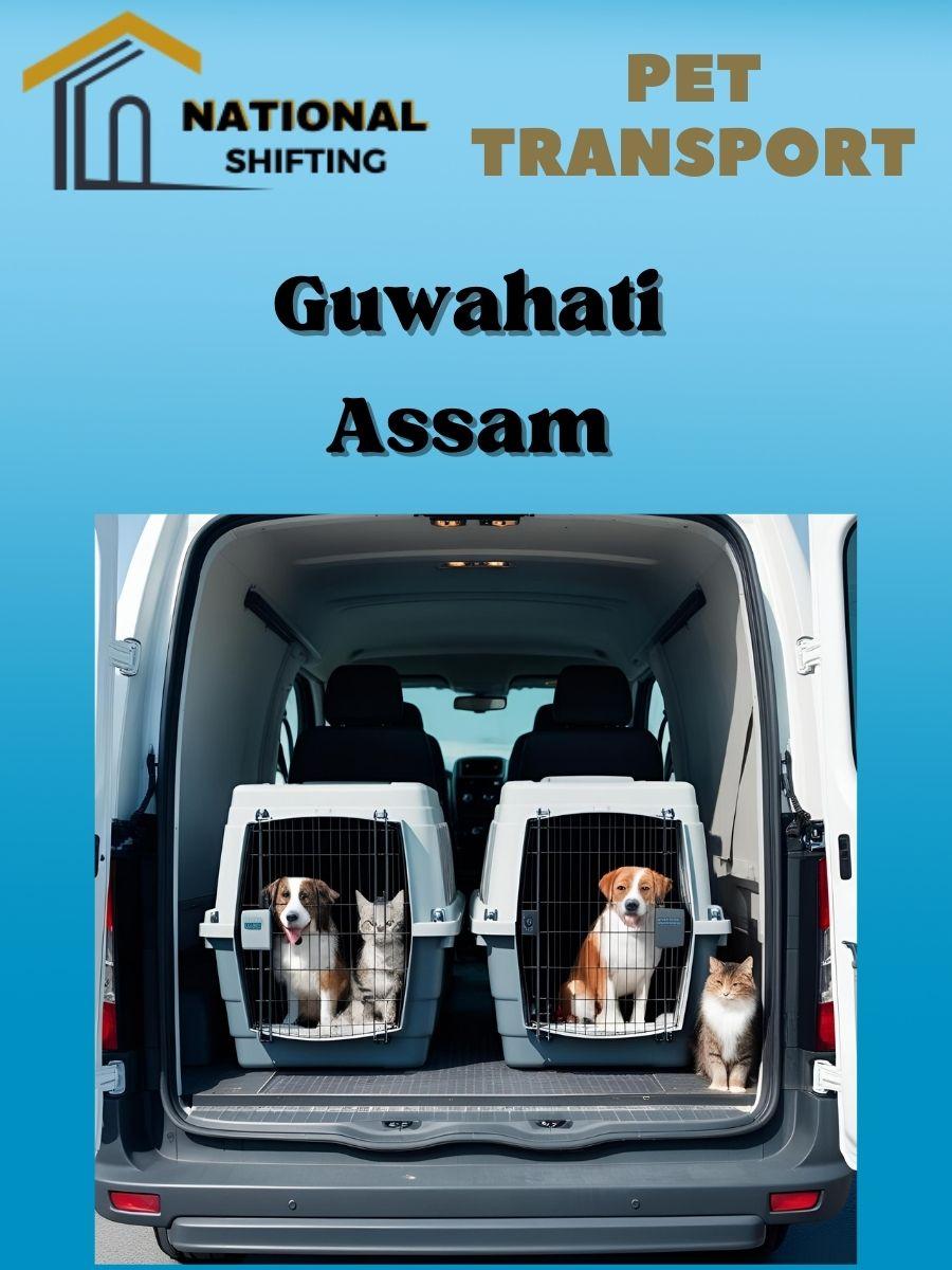 Pet transport services in Guwahati