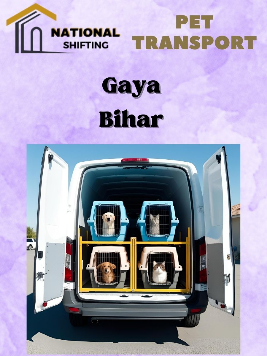 Pet transport services in Gaya