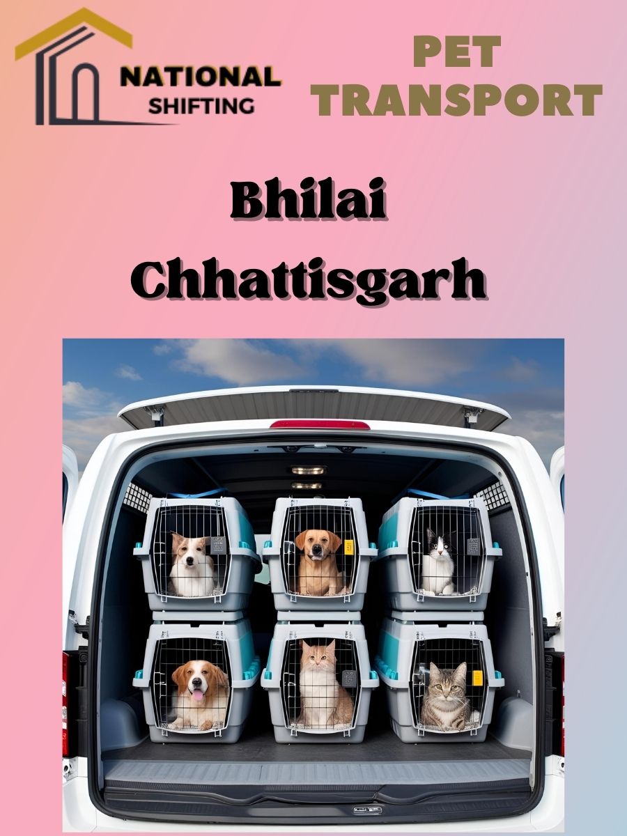 Pet transport services in Bhilai