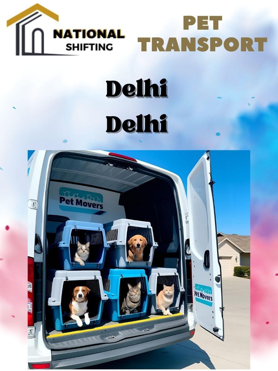 Pet transport services in Delhi