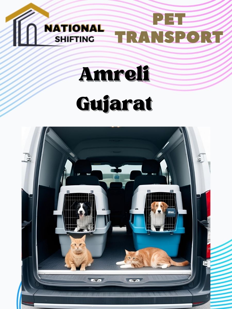 Pet transport services in Amreli