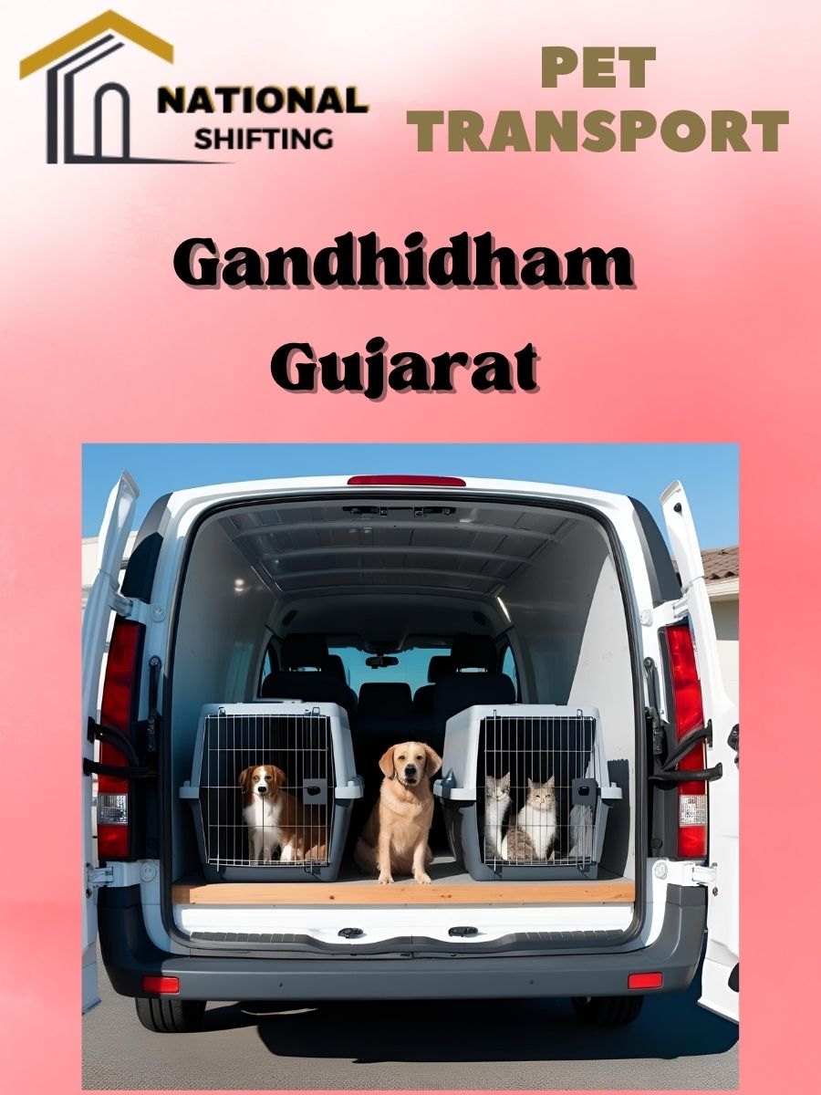 Pet transport services in Gandhidham
