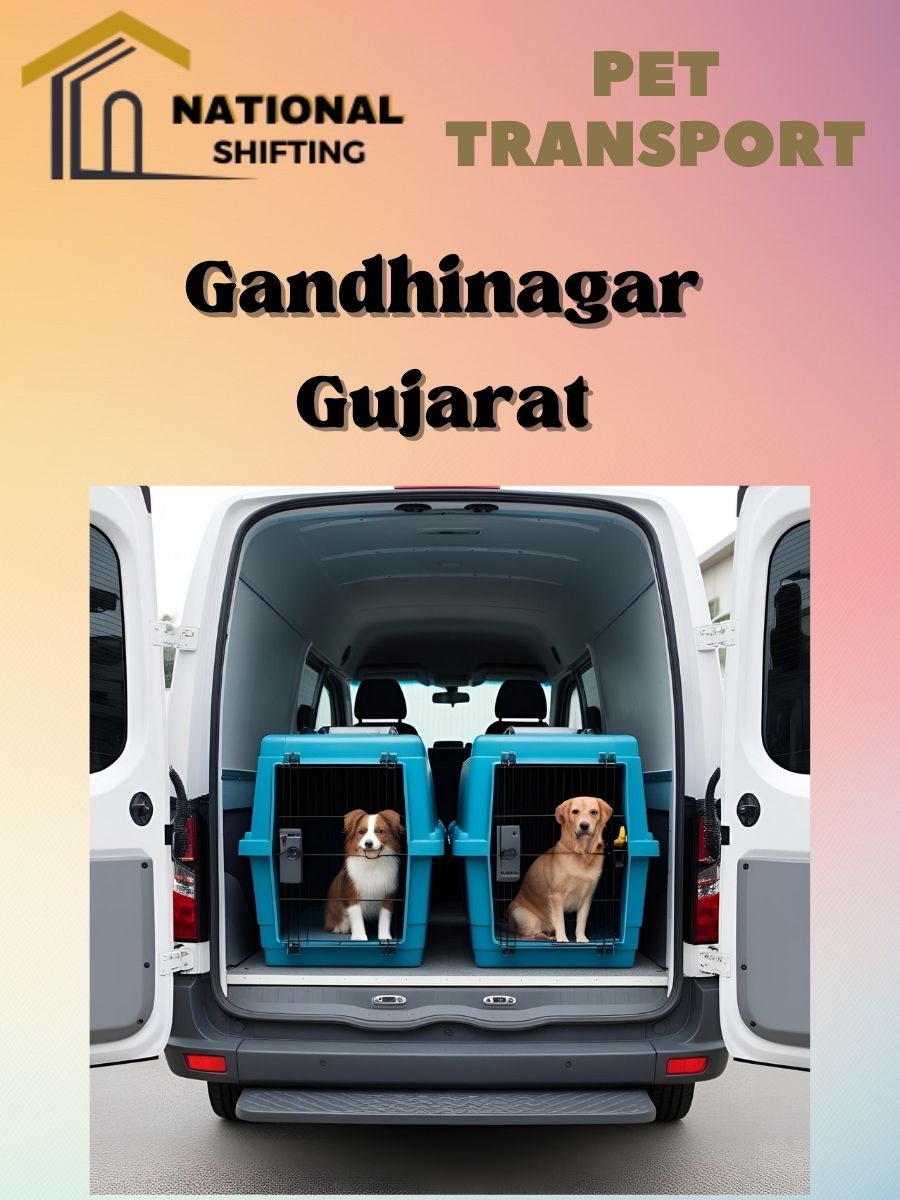 Pet transport services in Gandhinagar