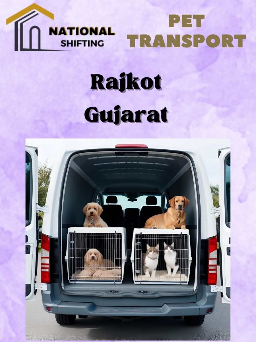 Pet transport services in Rajkot