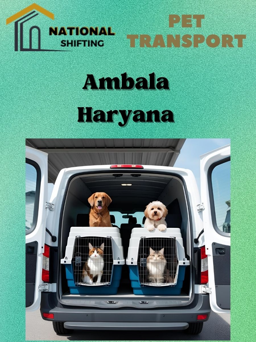 Pet transport services in Ambala