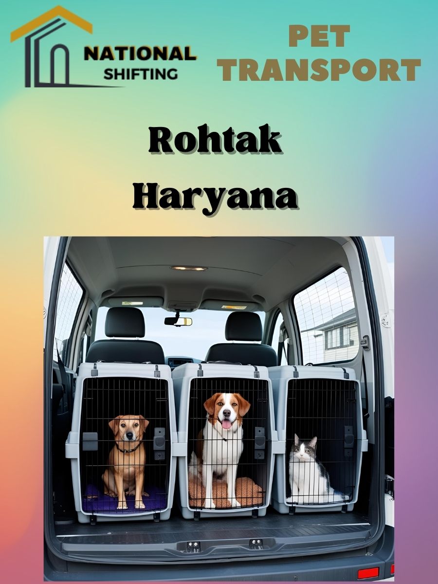 Pet transport services in Rohtak