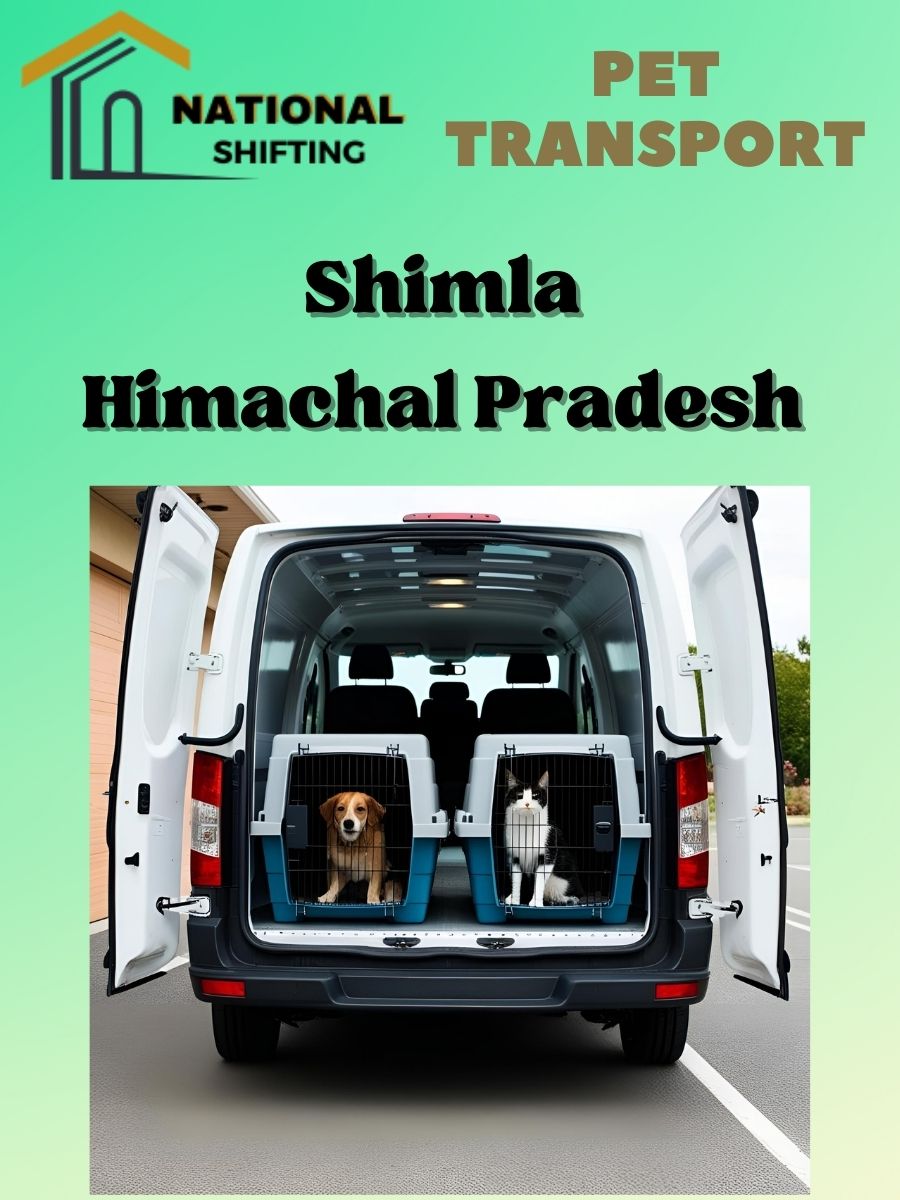 Pet transport services in Shimla