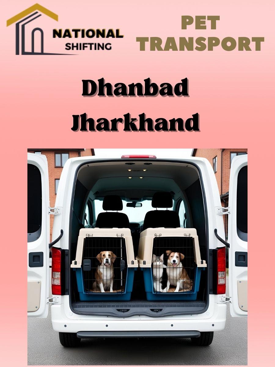 Pet transport services in Dhanbad