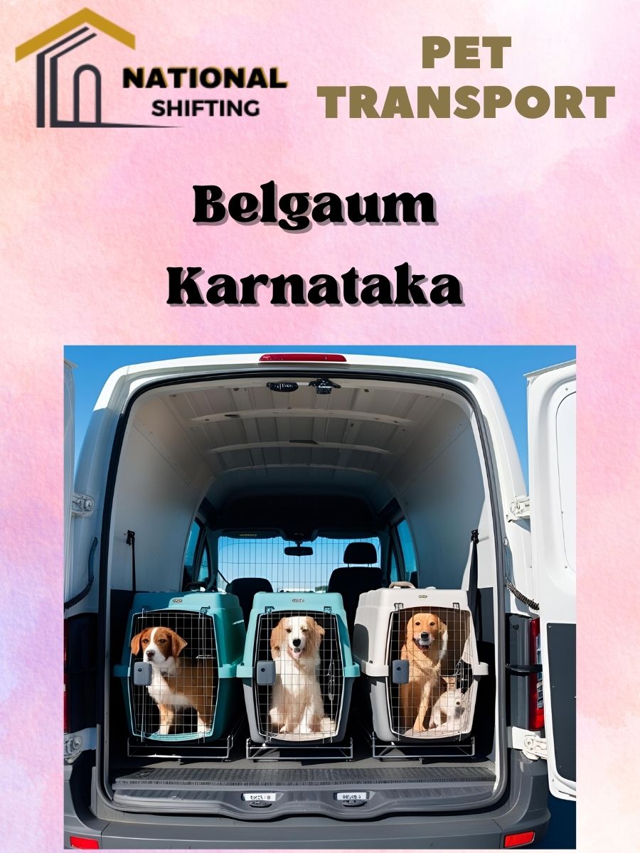 Pet transport services in Belgaum