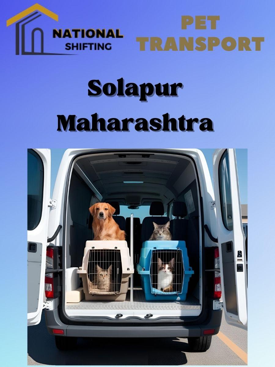 Pet transport services in Solapur