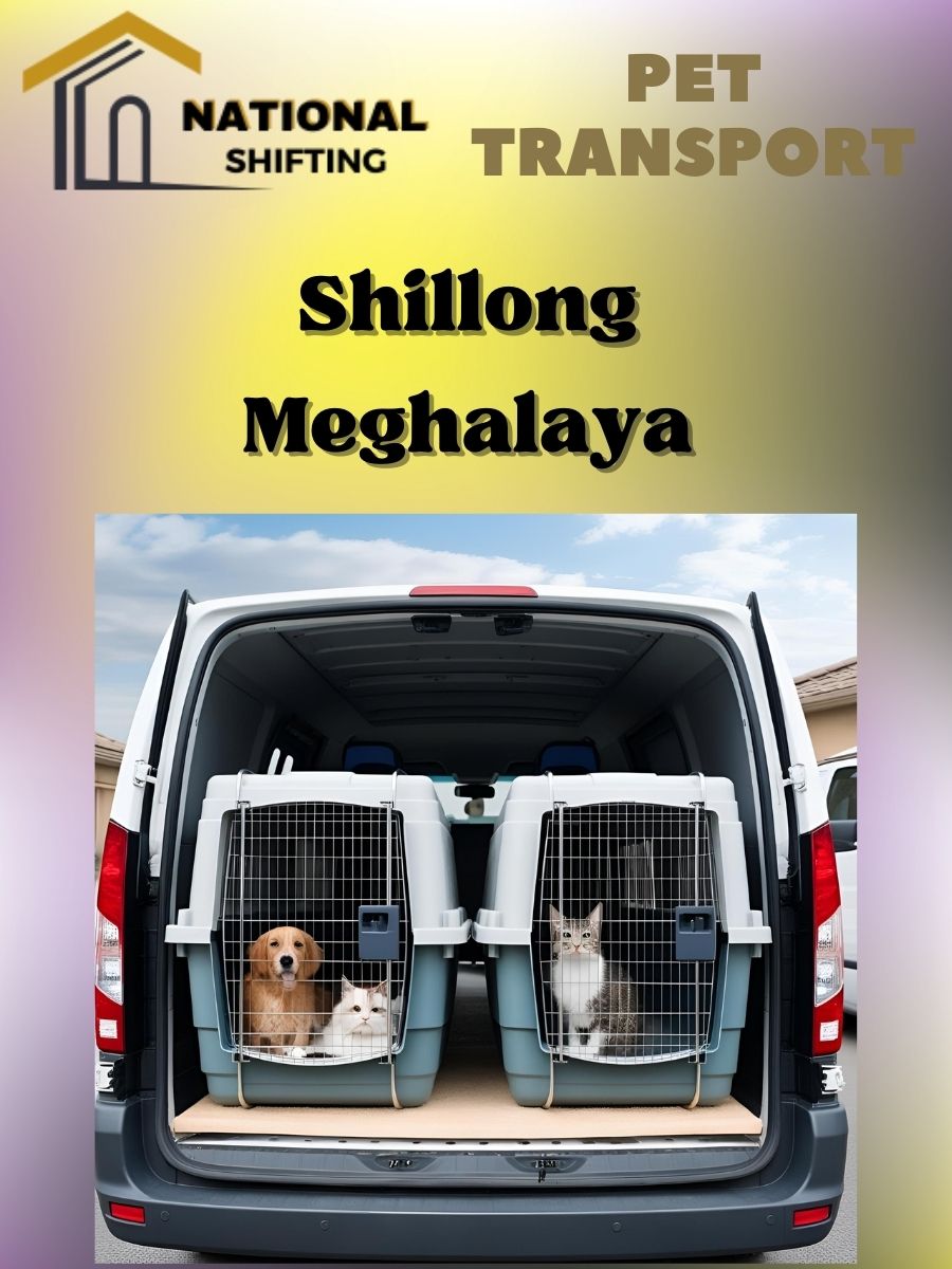 Pet transport services in Shillong