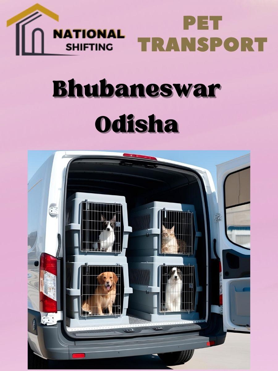 Pet transport services in Bhubaneswar