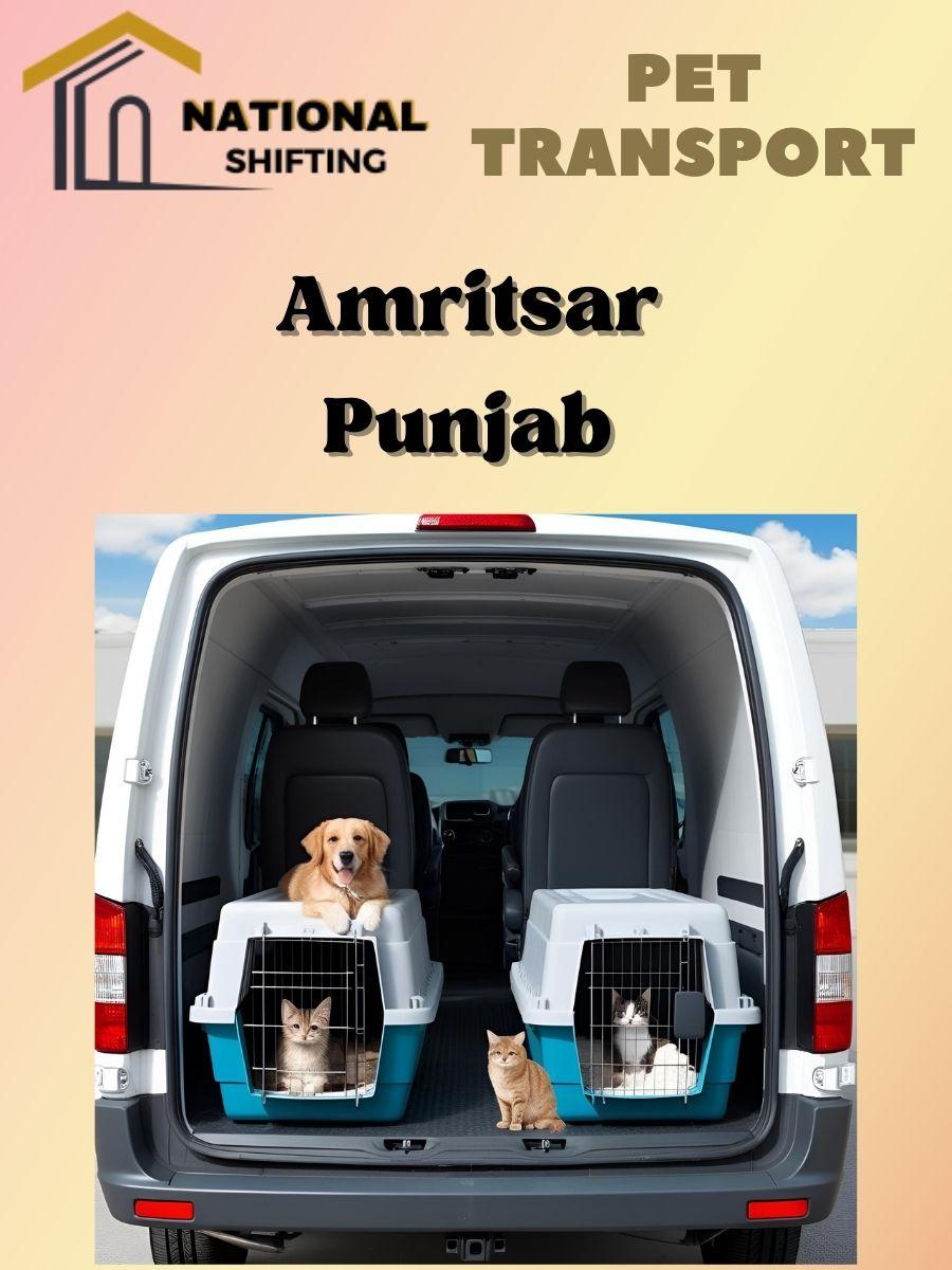 Pet transport services in Amritsar
