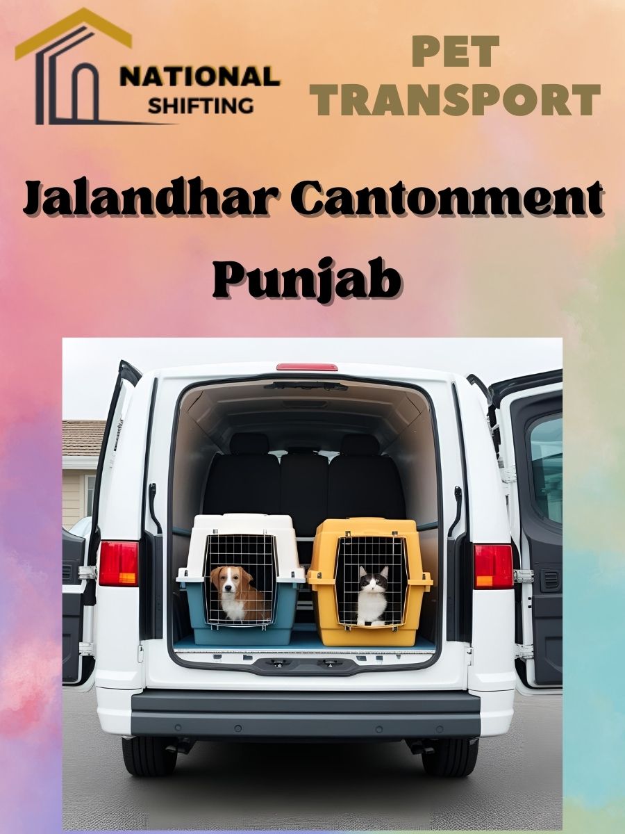 Pet transport services in Jalandhar Cantonment