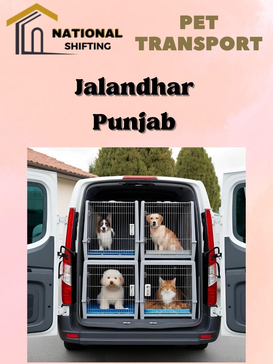 Pet transport services in Jalandhar