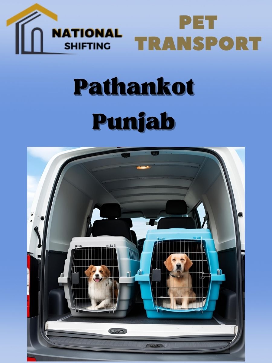 Pet transport services in Pathankot