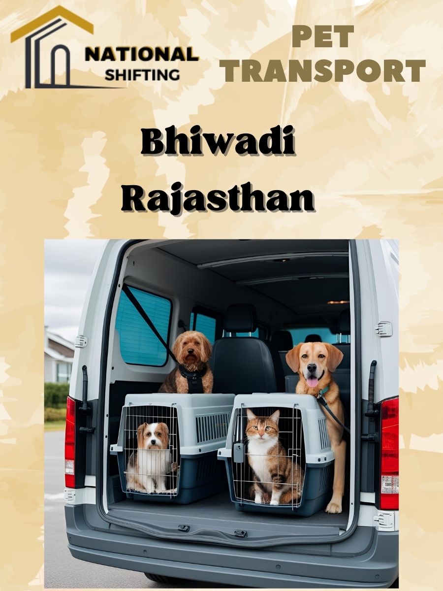 Pet transport services in Bhiwadi