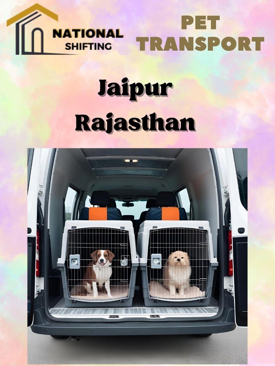 Pet transport services in Jaipur