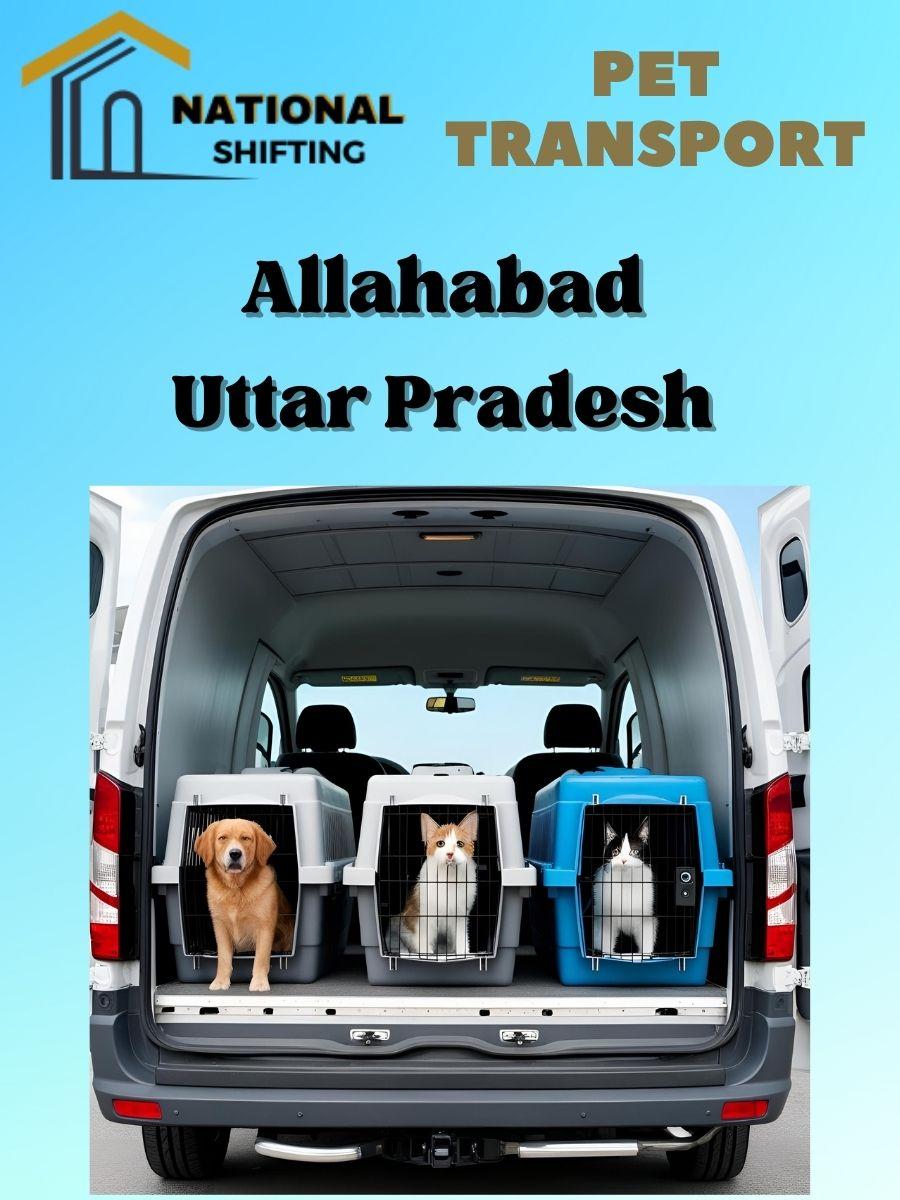 Pet transport services in Allahabad
