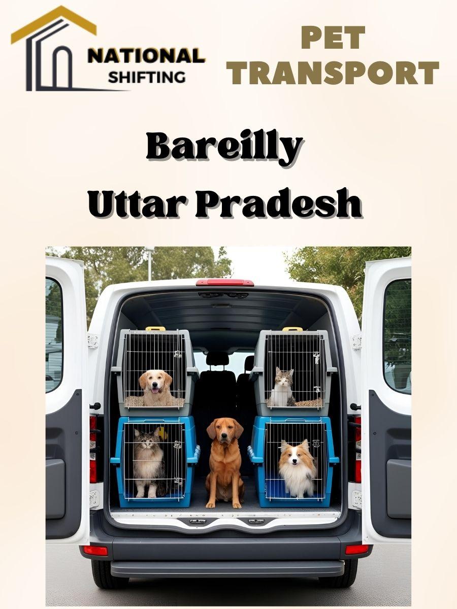 Pet transport services in Bareilly