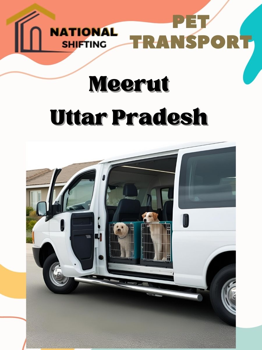 Pet transport services in Meerut