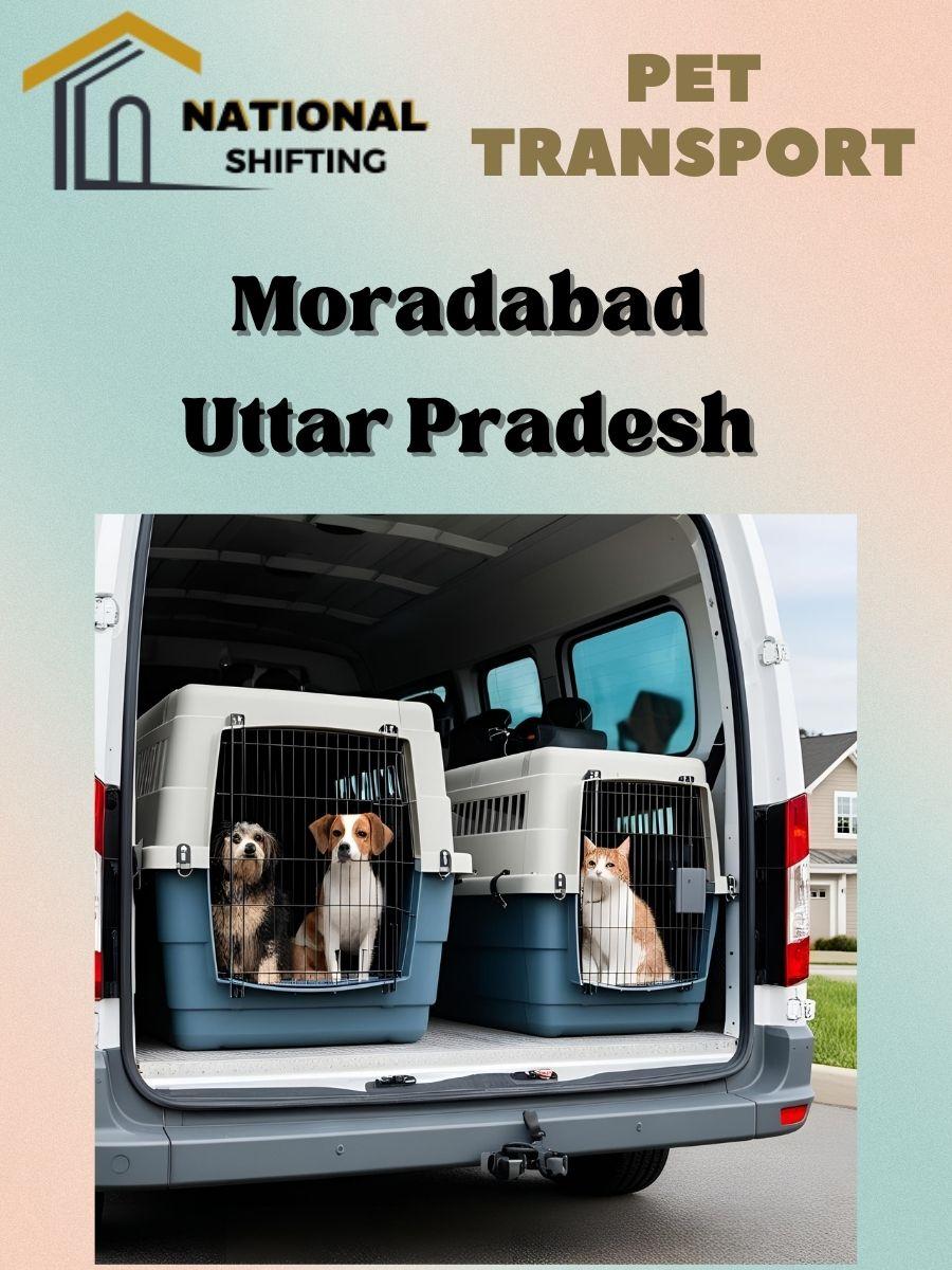 Pet transport services in Moradabad