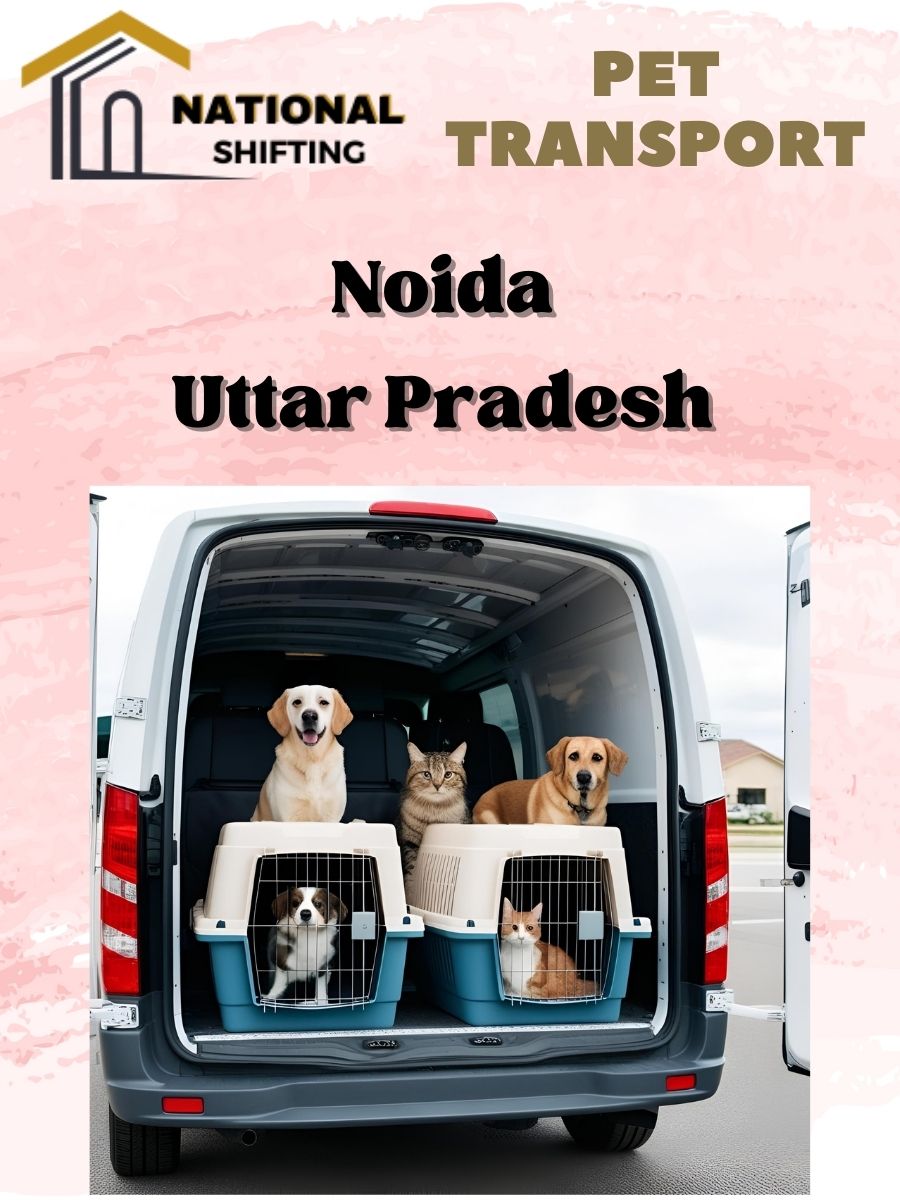 Pet transport services in Noida