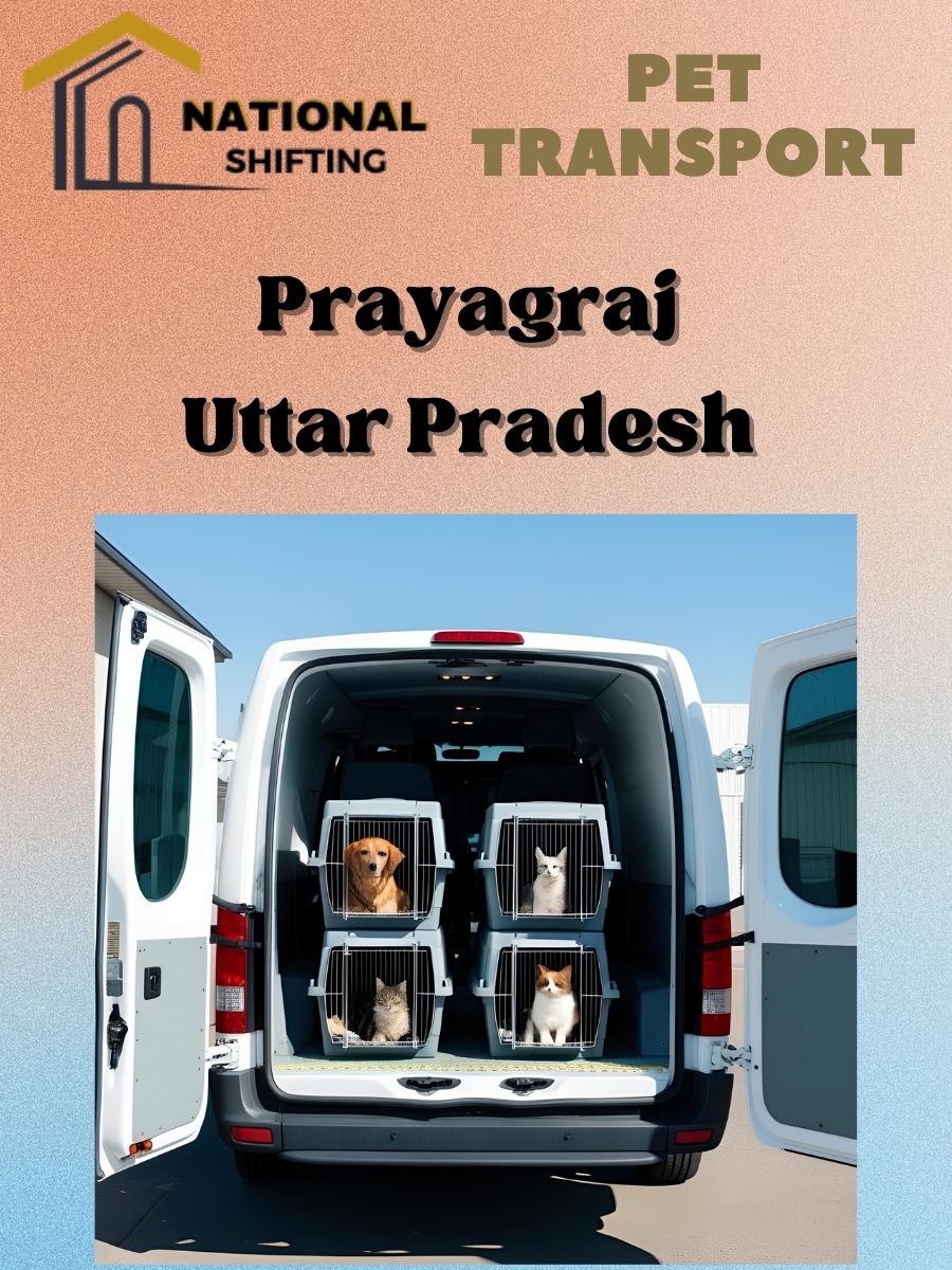 Pet transport services in Prayagraj