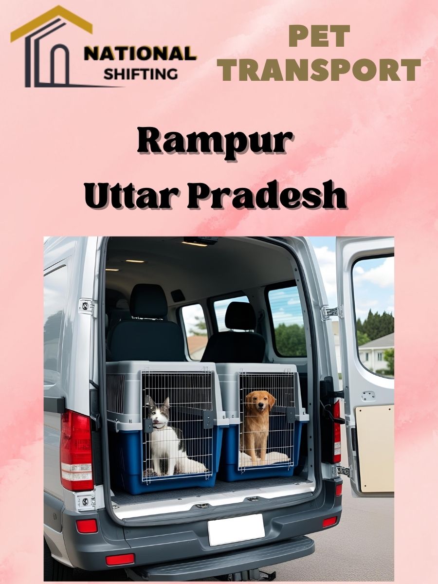 Pet transport services in Rampur