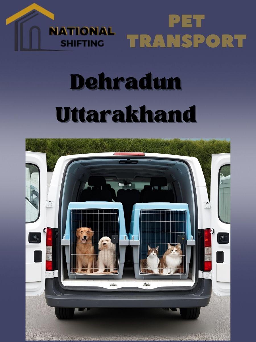 Pet transport services in Dehradun