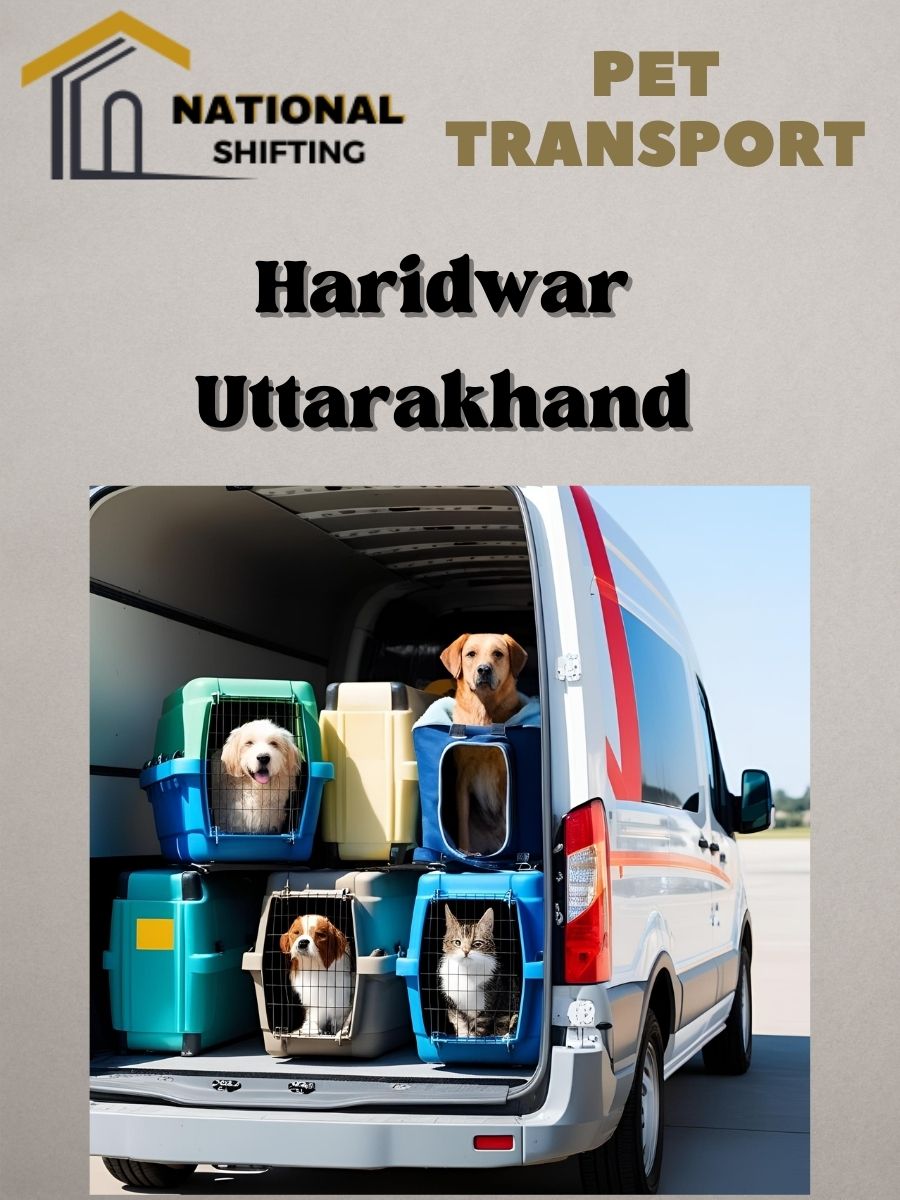 Pet transport services in Haridwar